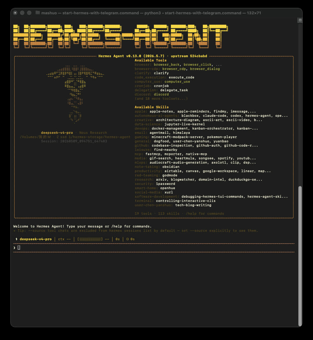 Hermes Agent in Terminal